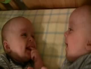  Baby Boys Laughing  People Videos