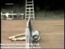 Amateur Accidents Sports Videos