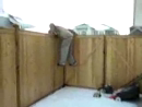 Backflip FAIL test_normal