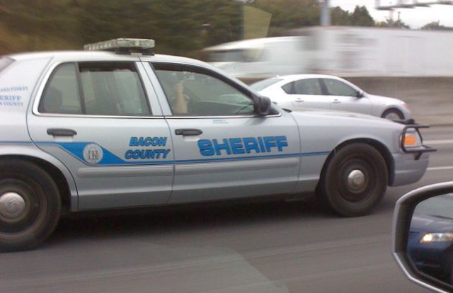 Bacon County Picture