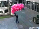 Balloon Buffoons Stupid Videos