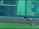 Baseball Fall Accident Videos