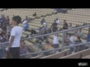 Baseball Head Smash test_normal