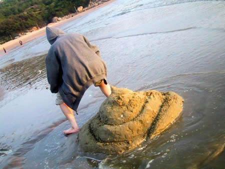 Beach Turd Picture