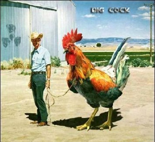 Big Cock Picture