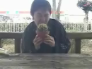 Cactus Eating People Videos