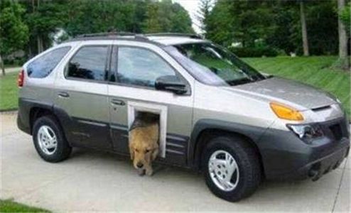 Car Dog Door Picture