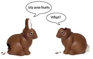 Choclate Bunnies Picture