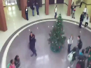 Christmas Tree Attack Stupid Videos