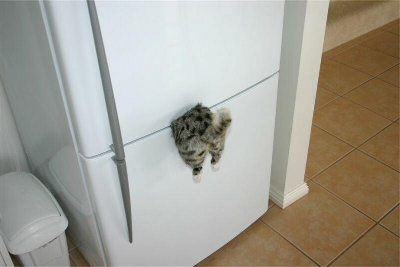 Classy Fridge Magnet Picture