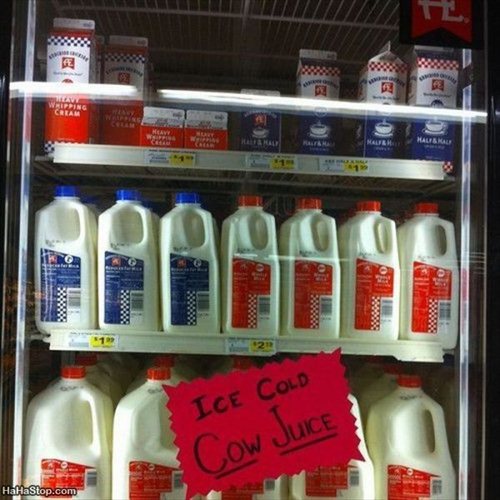 Cow Juice Picture