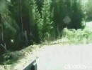 Dead or Alive? test_normal