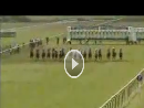 Divorce Horse Race Mature Content Videos