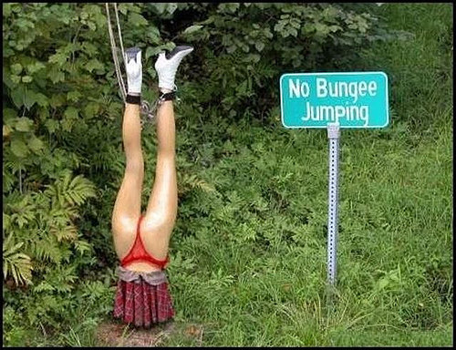 Do Not Bungee Jump Picture