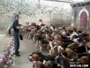 Doggy Feeding Pandemonium  Animal Videos