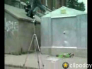 Dumb kid and a Skateboard Stunts Videos