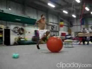 Exercise Ball Gymnastics Tricks Videos