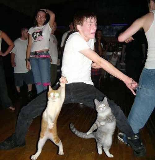 Ghetto Pussy Picture