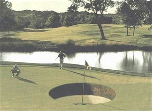Golfer's Dream Picture