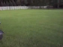 Grandma Vs Motorcycle  test_normal