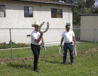 Hick Horseshoe Throw Picture