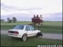 Hill Billy Ride Stupid Videos