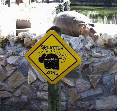 Hippo Blast Picture