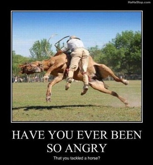 Horse Trouble  Picture