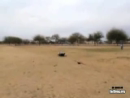 Killer Kite test_normal