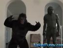 King Kong Surprise Tricks Videos