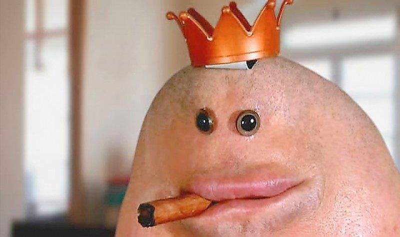 King Chin Picture