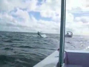 Kite Surfer Smash Accident Videos