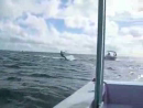 Kite Surfer Smash test_normal