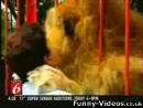 Lion Hug  Animal Videos