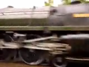 Man Escapes Death  test_normal
