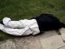 Man Thrown From Rollercoaster  test_normal