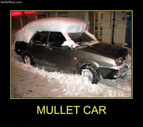 Mullet Mobile Picture