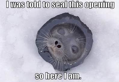 Seal It Picture
