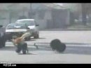 Segway Crash  test_normal