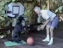 Slam Dunk Dog Animal Videos