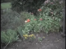 Speed Trap test_normal