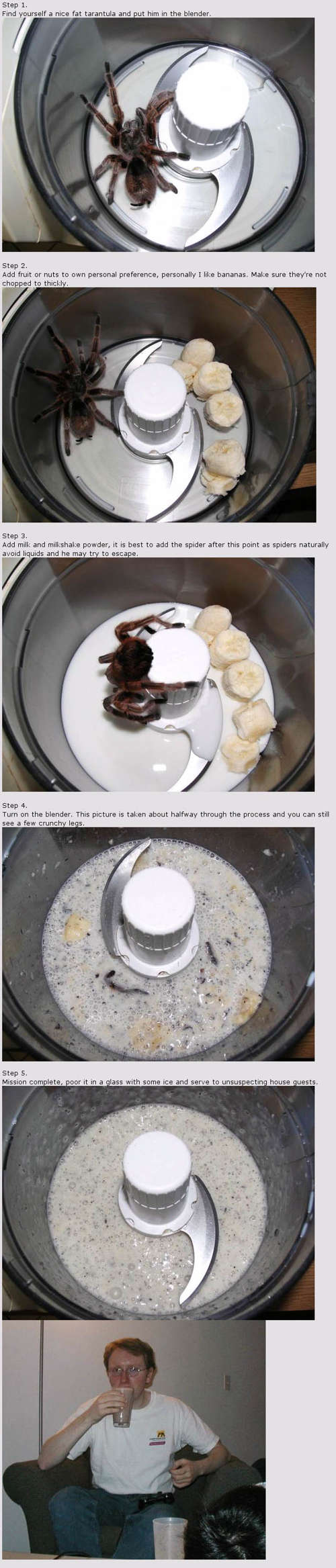 Spider Smoothie Picture