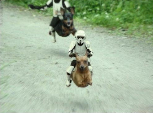 Star Wars 7 Picture