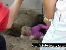 Stuck Fat Woman test_normal