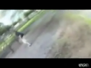 Swing Jump Error test_normal