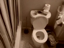 Toilet Seat Surprise Pranks Videos