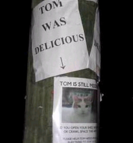 Tom Was Found Picture