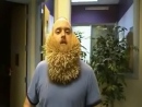 Toothpick Beard Tricks Videos