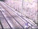 Train Chicken Stupid Videos