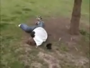 Tree Jump Fail Stunts Videos